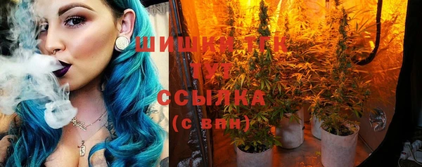 Альфа ПВП Богородск