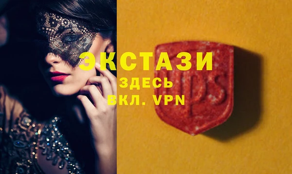 СК Богородицк