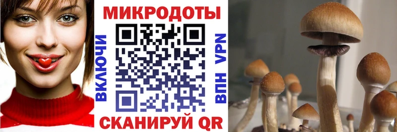 МЕГА зеркало  площадка состав  Галлюциногенные грибы Psilocybe  Среднеуральск 